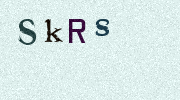 Visual Confirmation Security Code