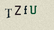 Visual Confirmation Security Code