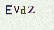 Visual Confirmation Security Code