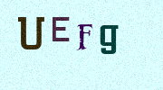 Visual Confirmation Security Code