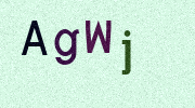 Visual Confirmation Security Code