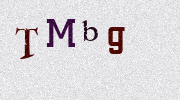 Visual Confirmation Security Code