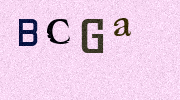 Visual Confirmation Security Code