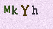 Visual Confirmation Security Code