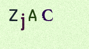 Visual Confirmation Security Code