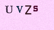 Visual Confirmation Security Code