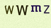 Visual Confirmation Security Code
