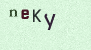 Visual Confirmation Security Code