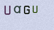 Visual Confirmation Security Code