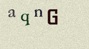 Visual Confirmation Security Code