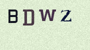 Visual Confirmation Security Code