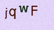 Visual Confirmation Security Code