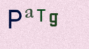 Visual Confirmation Security Code
