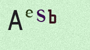 Visual Confirmation Security Code