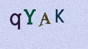 Visual Confirmation Security Code