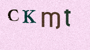 Visual Confirmation Security Code