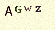 Visual Confirmation Security Code