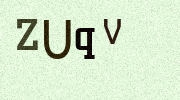 Visual Confirmation Security Code