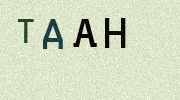 Visual Confirmation Security Code