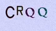 Visual Confirmation Security Code