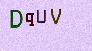 Visual Confirmation Security Code