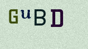 Visual Confirmation Security Code