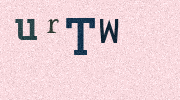 Visual Confirmation Security Code