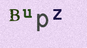 Visual Confirmation Security Code
