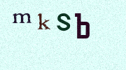 Visual Confirmation Security Code