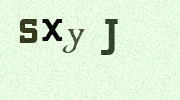 Visual Confirmation Security Code