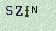 Visual Confirmation Security Code
