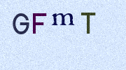 Visual Confirmation Security Code