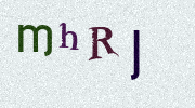 Visual Confirmation Security Code