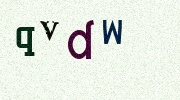 Visual Confirmation Security Code