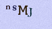 Visual Confirmation Security Code