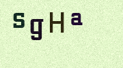 Visual Confirmation Security Code