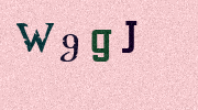 Visual Confirmation Security Code