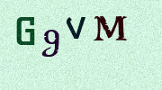 Visual Confirmation Security Code