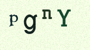 Visual Confirmation Security Code