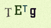Visual Confirmation Security Code
