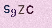 Visual Confirmation Security Code
