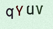 Visual Confirmation Security Code