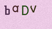 Visual Confirmation Security Code