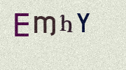 Visual Confirmation Security Code