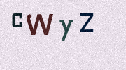 Visual Confirmation Security Code