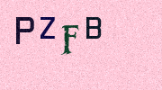 Visual Confirmation Security Code