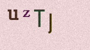 Visual Confirmation Security Code