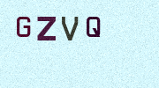 Visual Confirmation Security Code