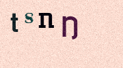 Visual Confirmation Security Code