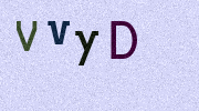 Visual Confirmation Security Code